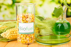 Borth biofuel availability